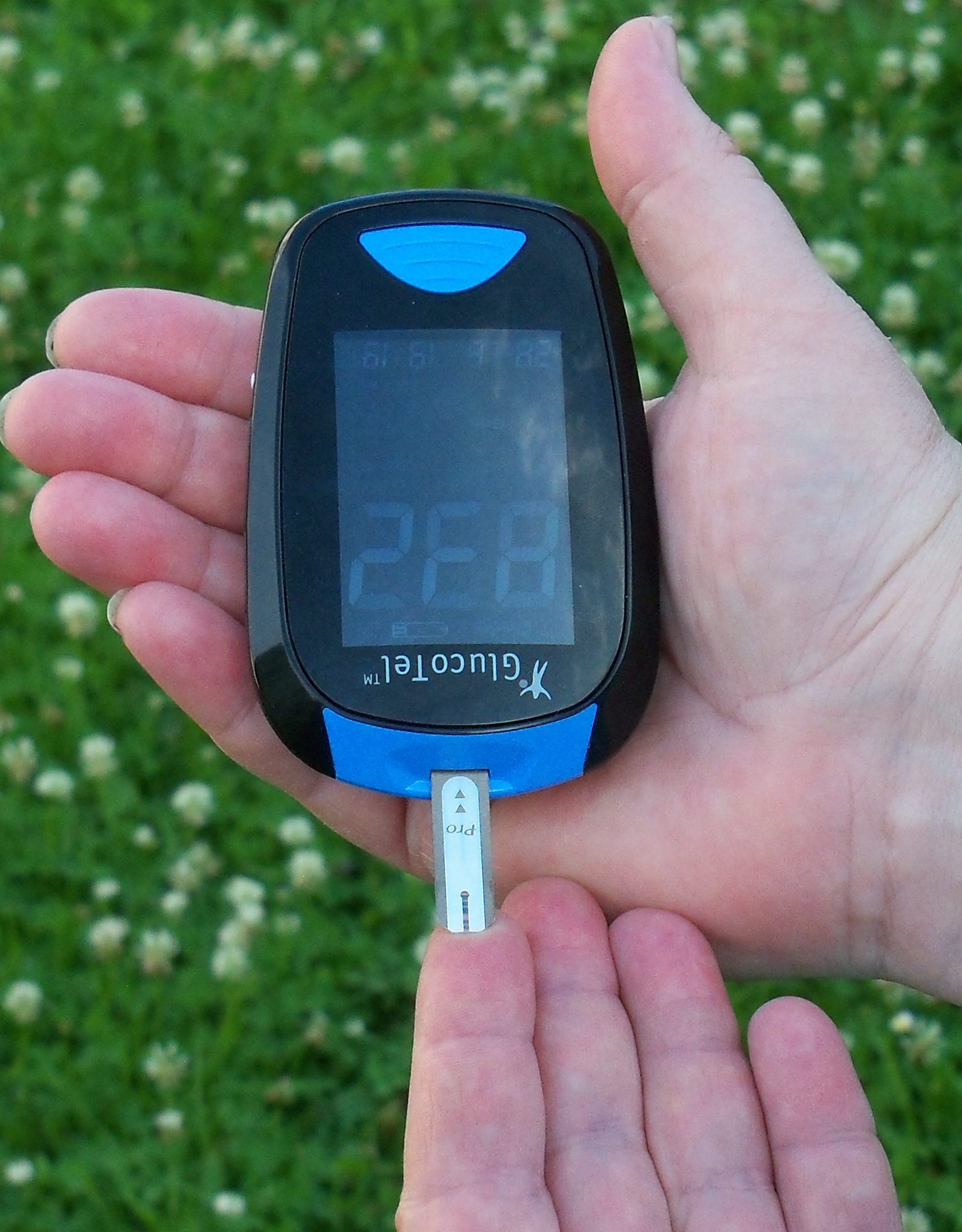 bodytel_glucotel_user