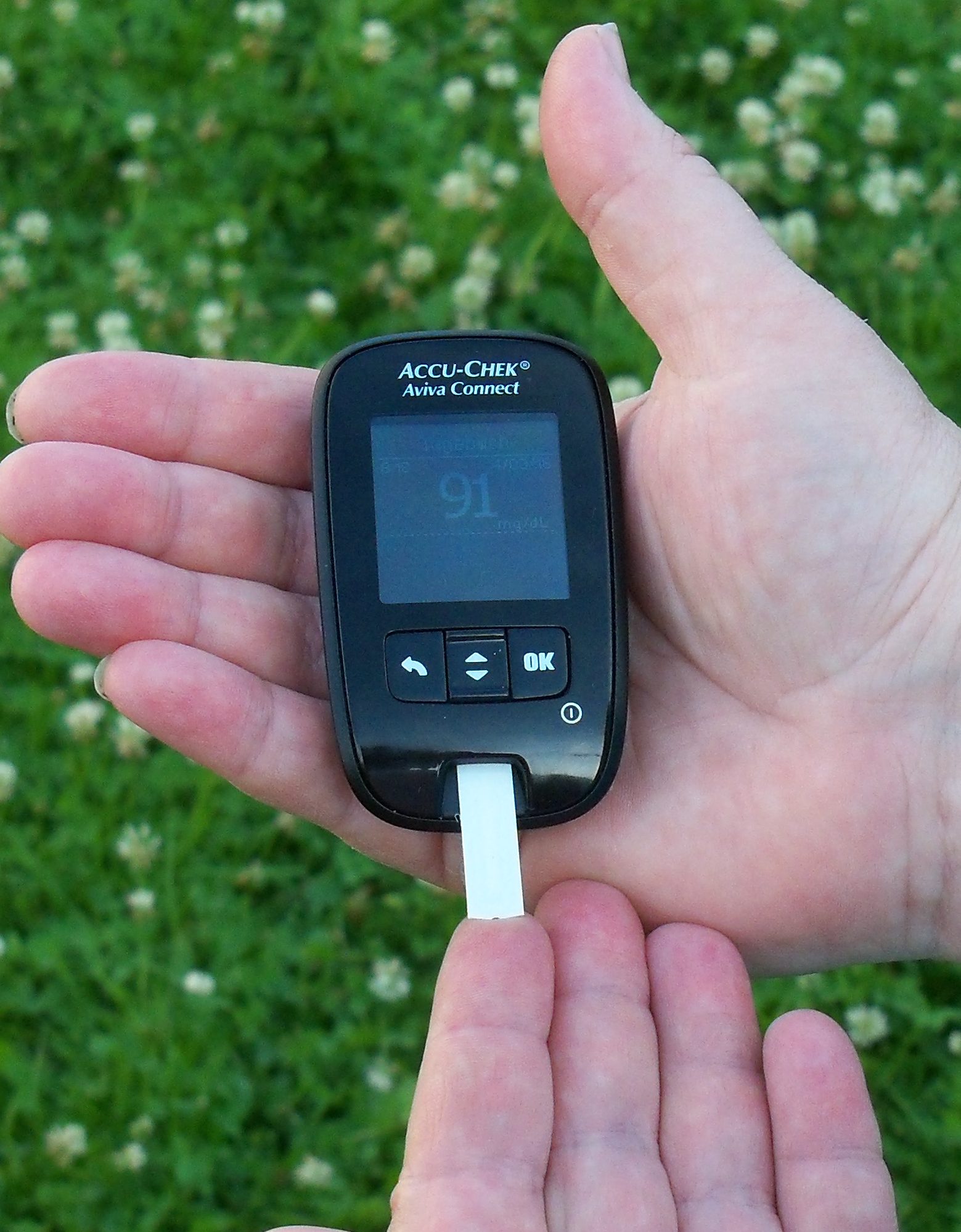 roche_accu-chek_user